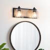 2-Light Black Vanity Light with Seeded Glass Shades