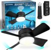 Socket Fan Light Original ‚Äì Warm Light Ceiling Fans with Lights and Remote | with Replacement for Bulb/Ceiling