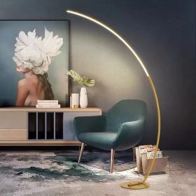 Modern LED Art Floor Lamps Home Indoor Living Room Black White Floor Lights Dimmable Remote RGB Bedroom Foyer Decor Corner Light (Lampshade Color: Golden, Body Color: Warm light)