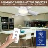 Socket Fan Light Original ‚Äì Warm Light Ceiling Fans with Lights and Remote | with Replacement for Bulb/Ceiling