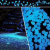 Outdoor Luminous Stones 100Pcs Glow in The Dark Pebbles Garden Moonlight Stones