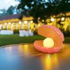 Shell Pearl Light LED Accent Lamp Portable Night Light