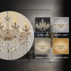 TRY-YEAN Vintage Crystal 10 Arm Cognac Chandelier Classic K9 Crystals Drop Pendant Lighting for Living Room Bedroom Hallway E14